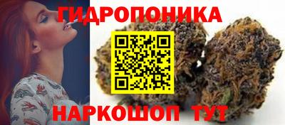 2c-b Берёзовский