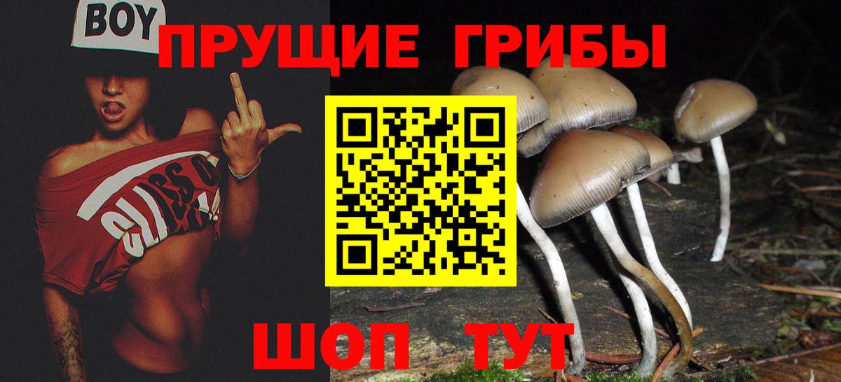 Псилоцибиновые грибы мицелий Домодедово
